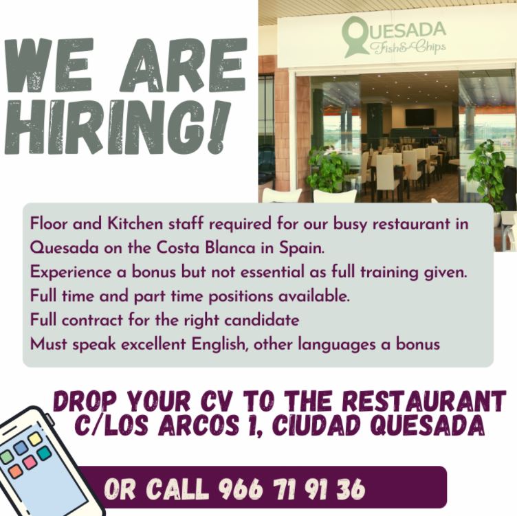 Quesada Fish & Chips.JPG