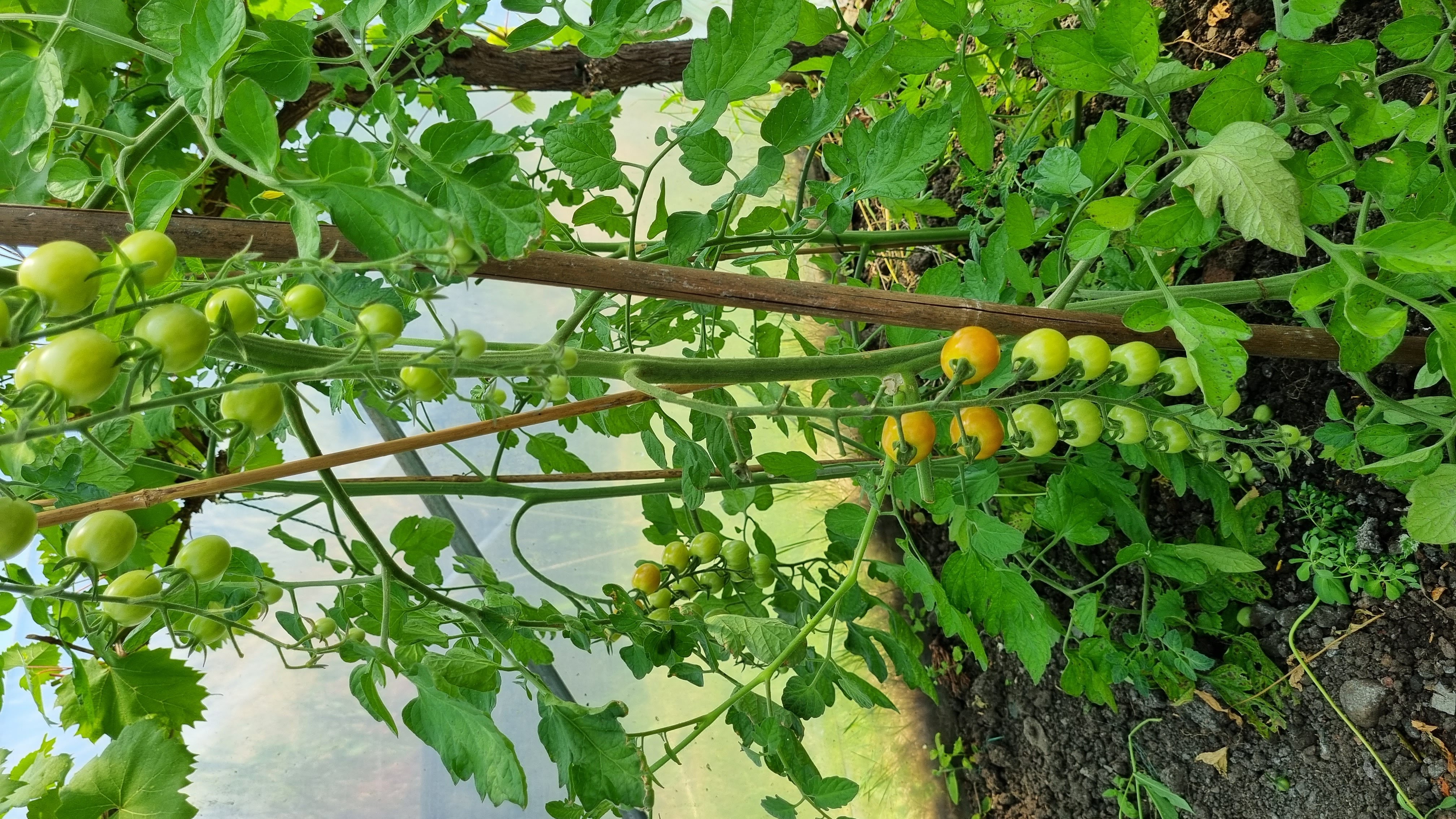 20220716_122330.jpg