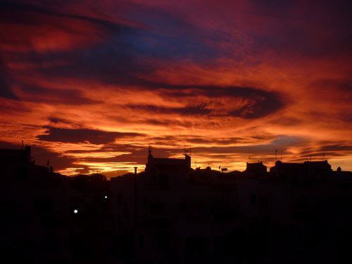 P1020351.JPG