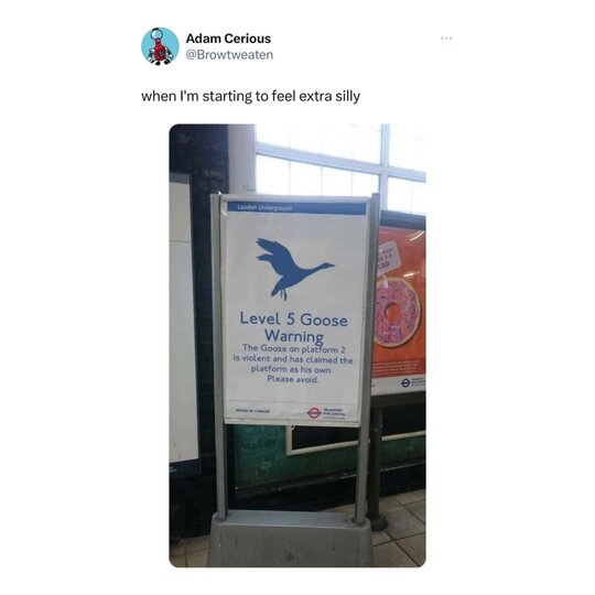 Goose Warning.jpg