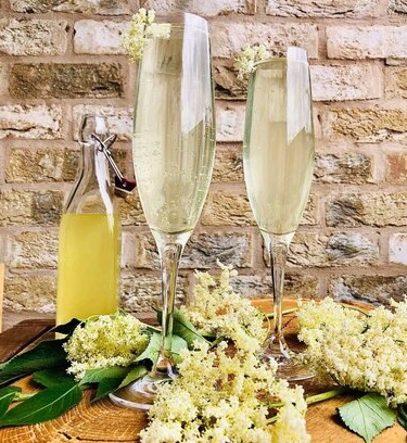 Elderflower Cordial.jpg