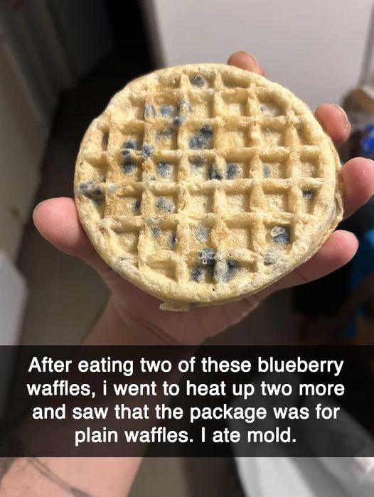 Blueberry Waffle.jpg