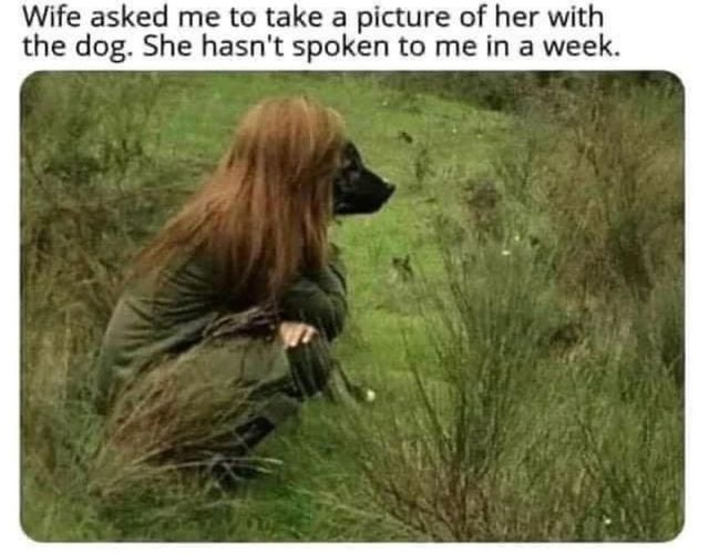 In The Dog House.jpg