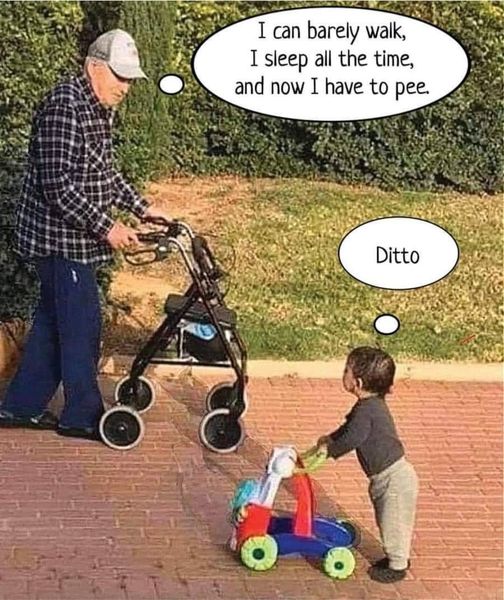 Circle Of Life.jpg
