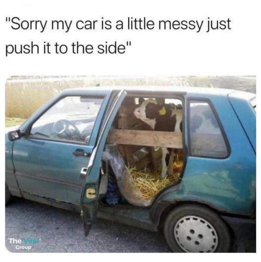 Room For 1 More.jpg