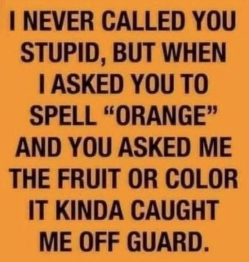 I Never Called You Stupid.jpg