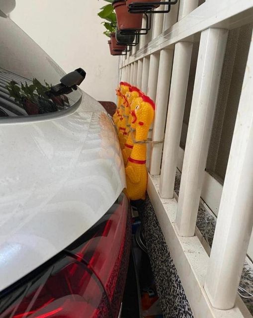 Plastic Chickens.jpg