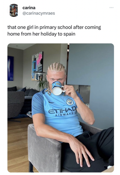 Erling Haaland.png