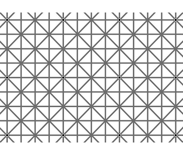 Optical Illusion Quiz No. 1 Question No. 4.jpg