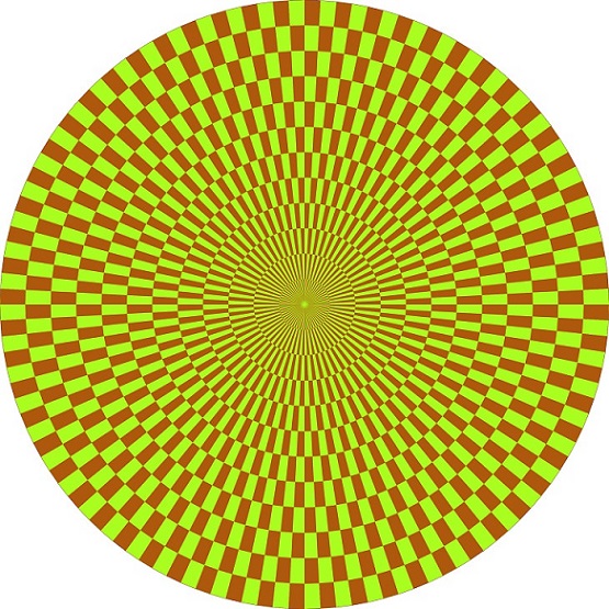 Optical Illusion Quiz No. 1 Question No. 7.jpg