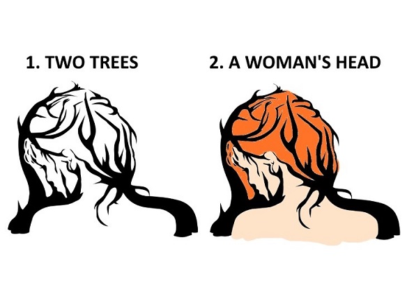 Optical Illusion Quiz No. 1 Question No. 1 - Answer.jpg