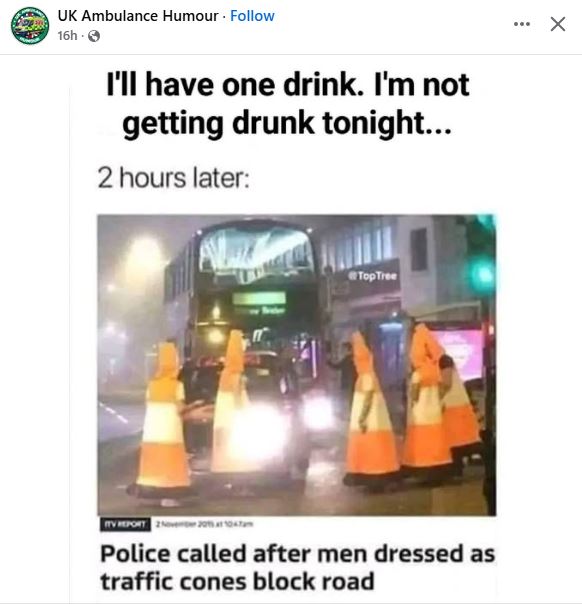 Walking Traffic Cones.JPG