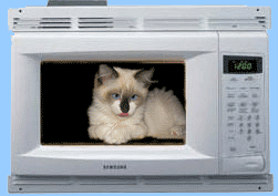 microwavecat.gif